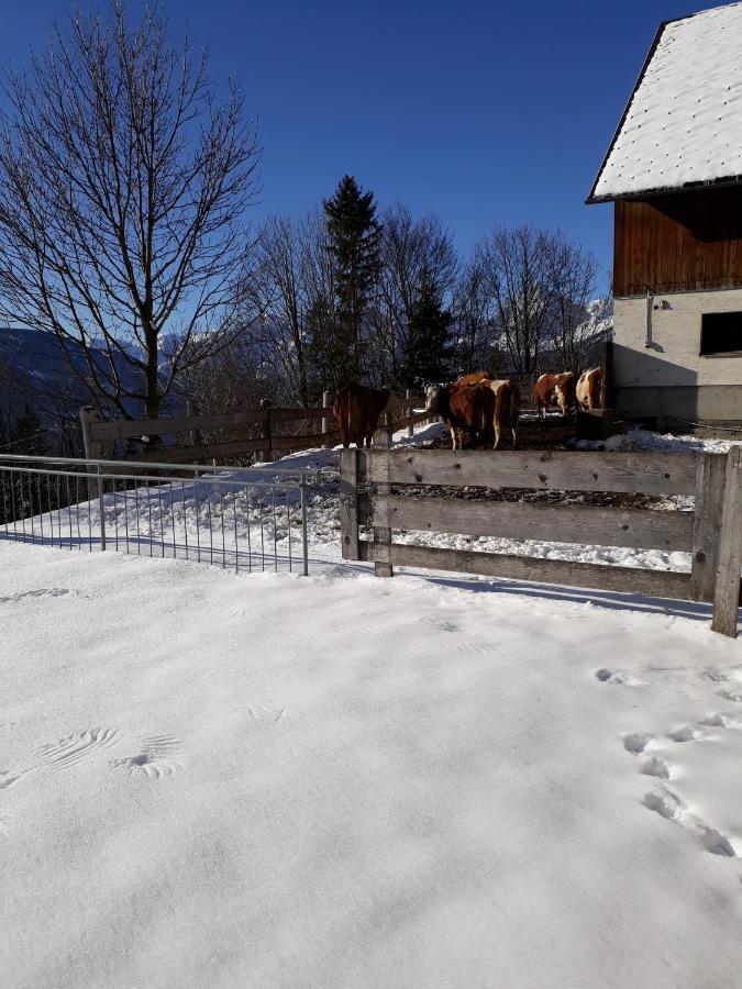 Apartamento Hinterramsebn Vorderstoder Exterior foto